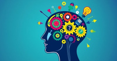 Test inteligence: Mistři logiky v něm excelují