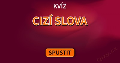 Cizí slova