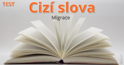 Test cizích slov - migrace