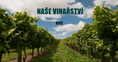 Naše vinařství