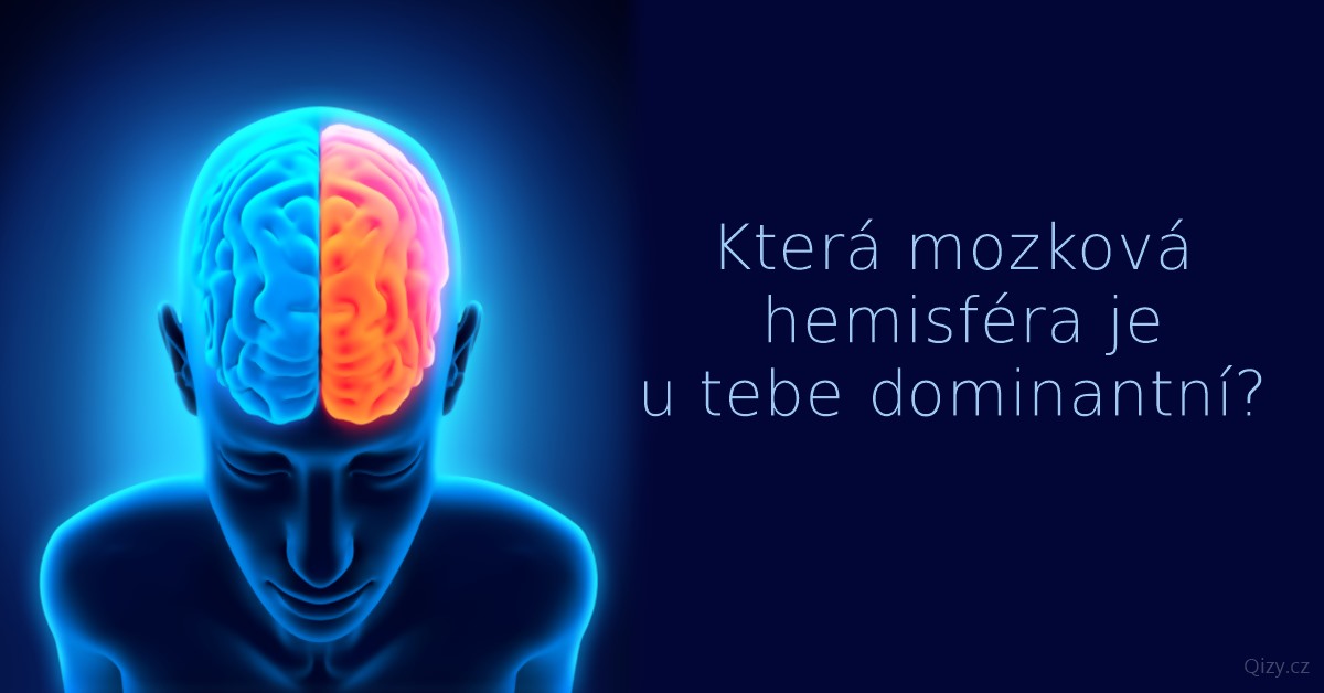 Test dominance mozkových hemisfér