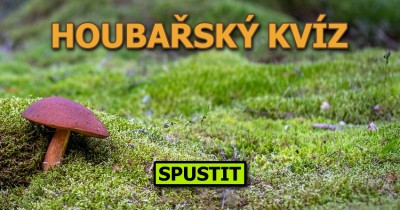 Houbařský kvíz