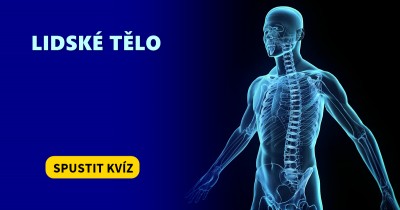 Lidské tělo
