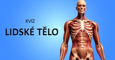 Vědomostní kvíz - Lidské tělo